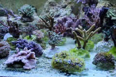 Killikus&reg; Fotographie